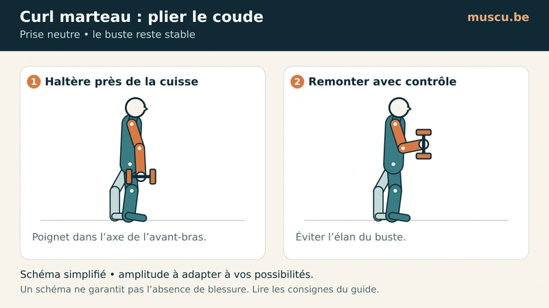 Curl marteau vu de profil, bras abaissé puis coude fléchi.