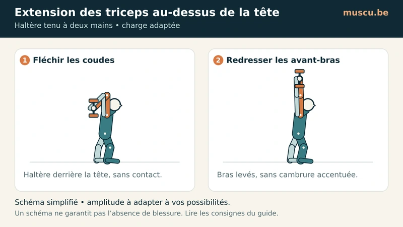 Extension triceps à deux mains, haltère derrière la tête puis levé.