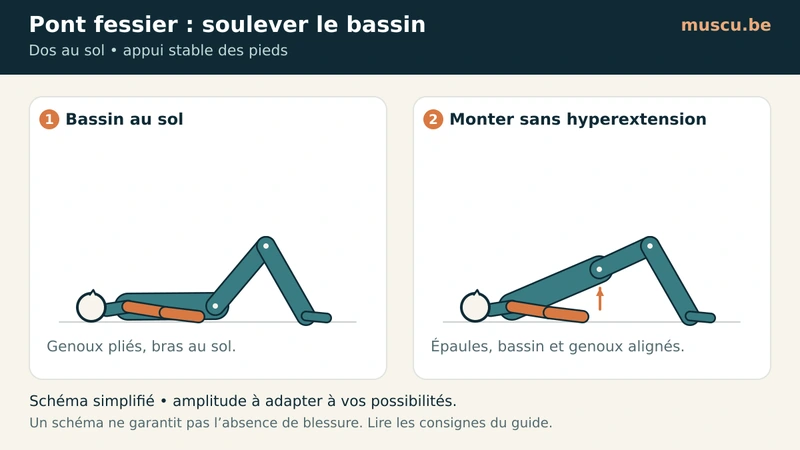 Pont fessier au sol, bassin abaissé puis soulevé.